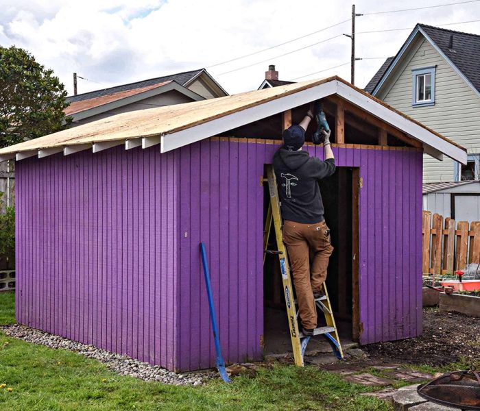 Shed Dismantling